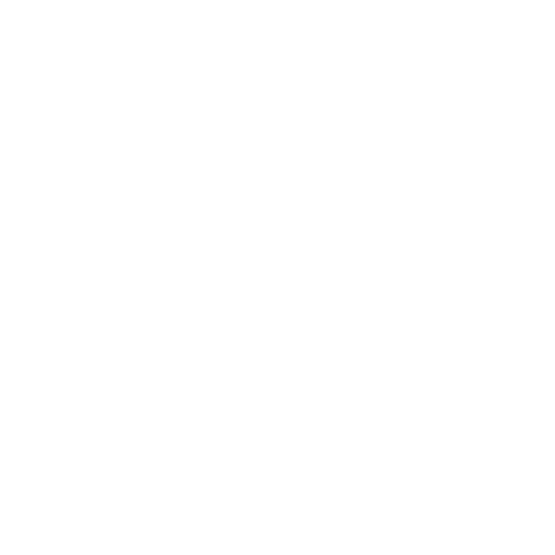 Mountain View Leadership